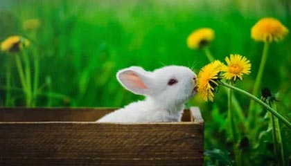 _爱游戏官方_ 中国女足在世界大赛中的不懈努力_，女足手游