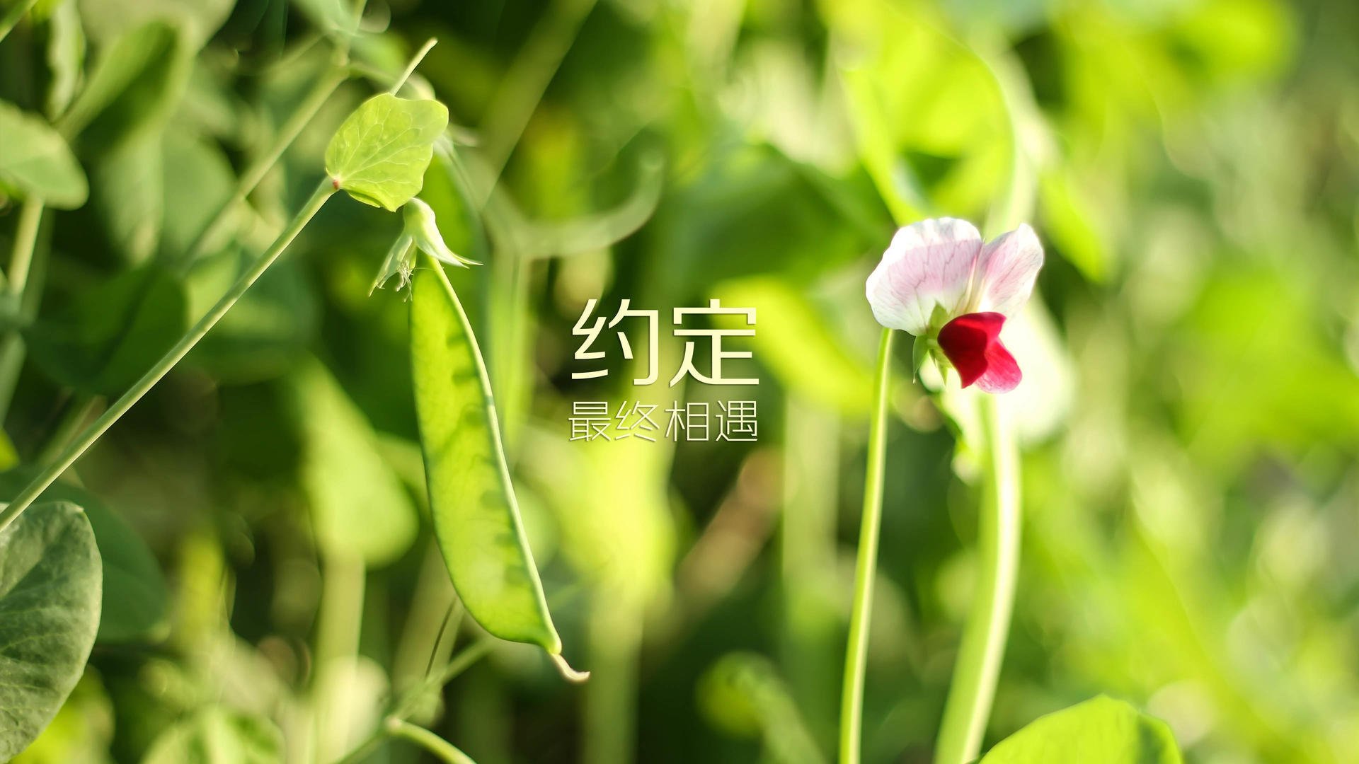 _山地泥浆跑：挑战自然，突破自我_，泥浆地可以种庄稼吗