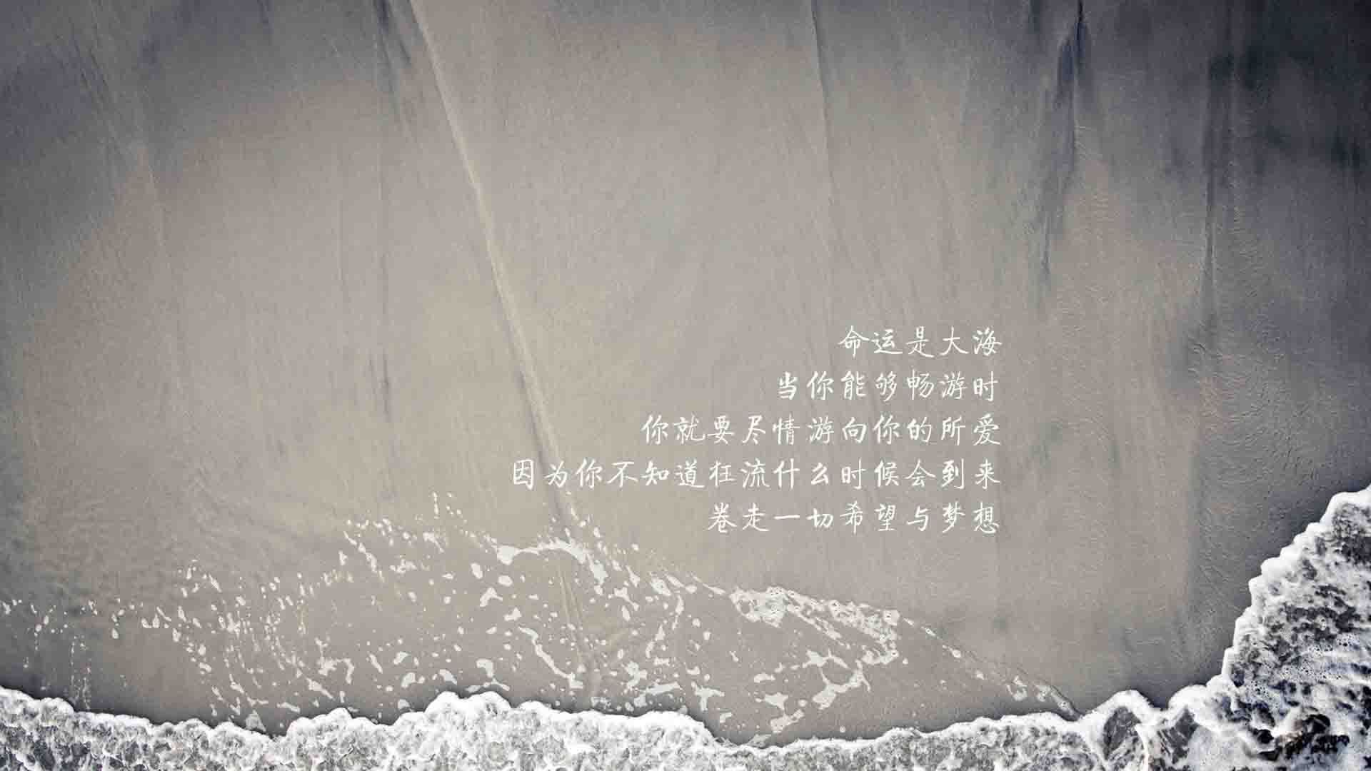 世界马拉松大满贯赛事中国跑者表现出色，世界马拉松大满贯官网
