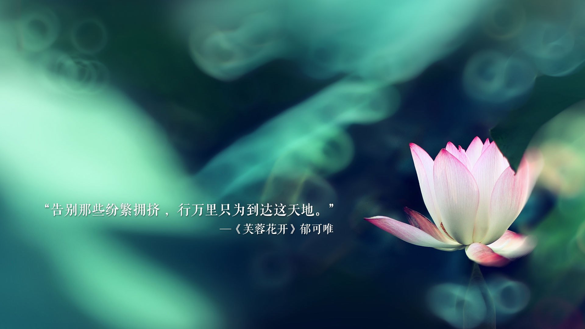 传奇巨星的“归来影响力”：退役后的多重身份故事，英雄联盟传奇归来大结局么