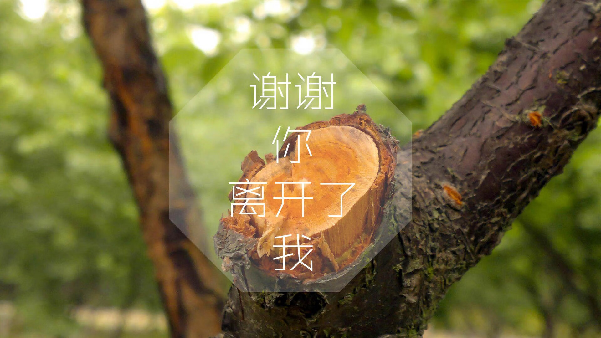 中国足球职业联赛球员行为规范强化，中国足球队员规划