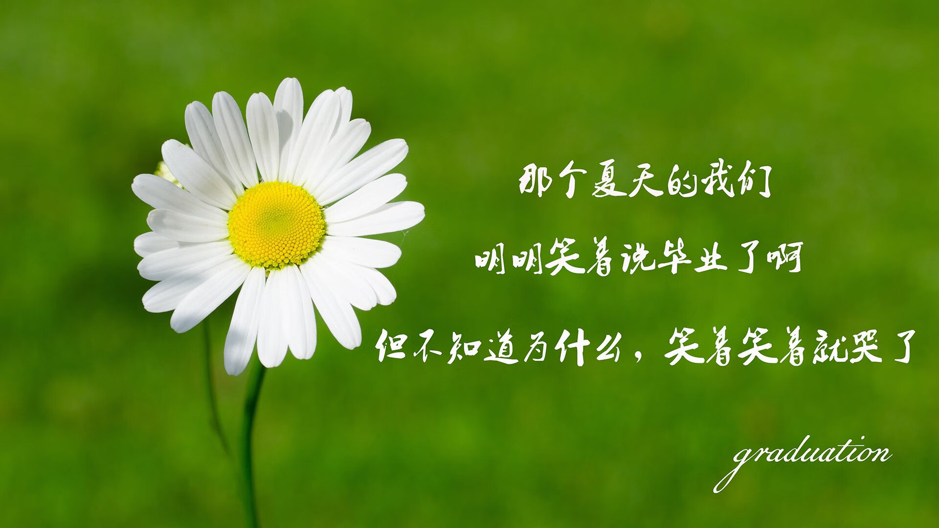 希腊女篮在欧洲锦标赛中屡获佳绩，续写荣誉篇章，希腊女子篮球超级联赛ds