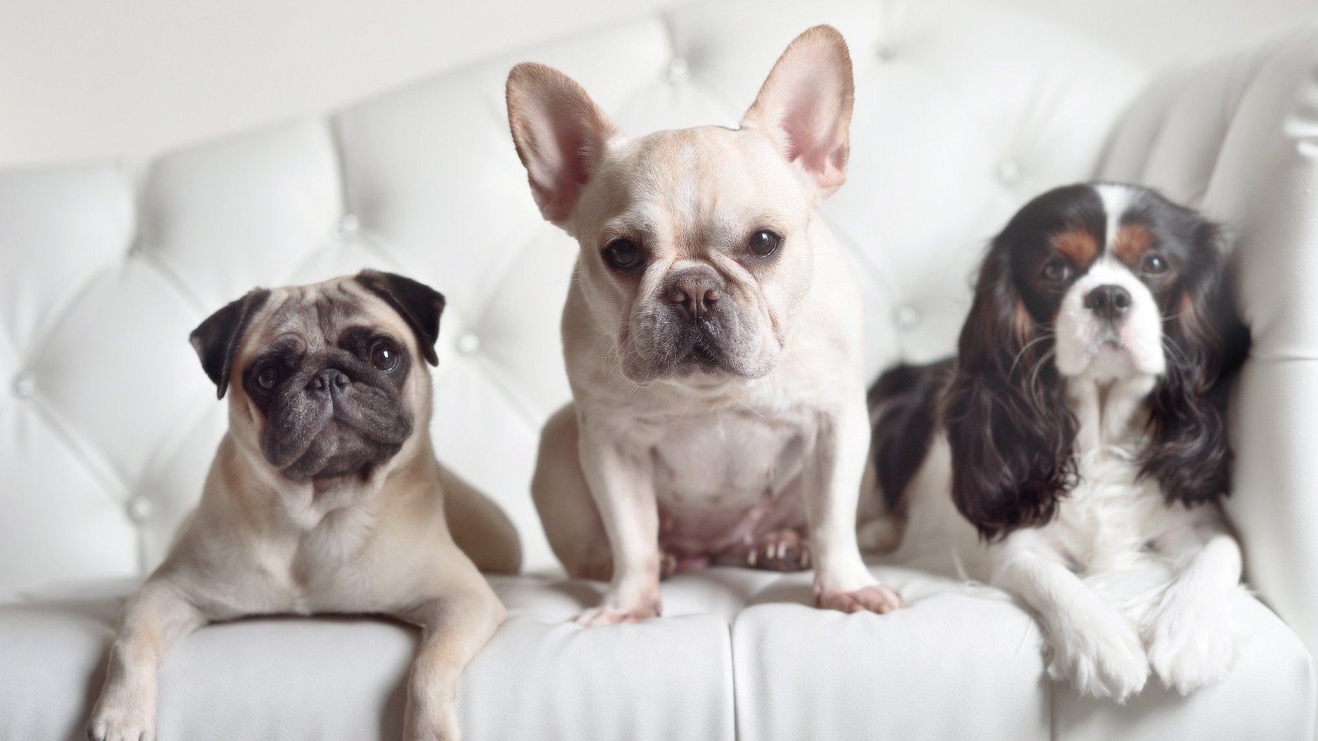 浙江稠州锁定胜局CBA季后赛，cba 浙江稠州