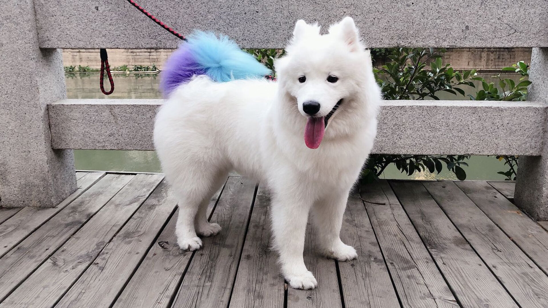 骑士前锋表示目标是帮助球队稳定输出，骑士队小前锋